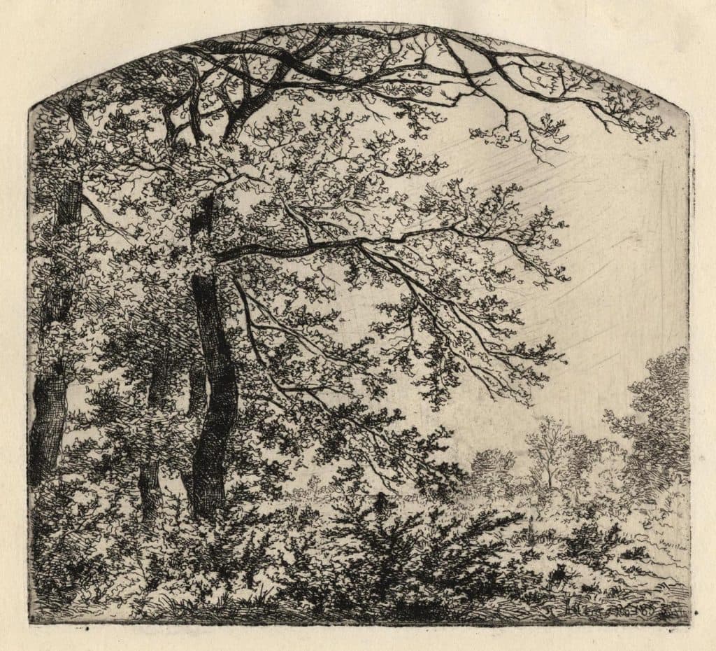 Allemand – Craponne, Isère