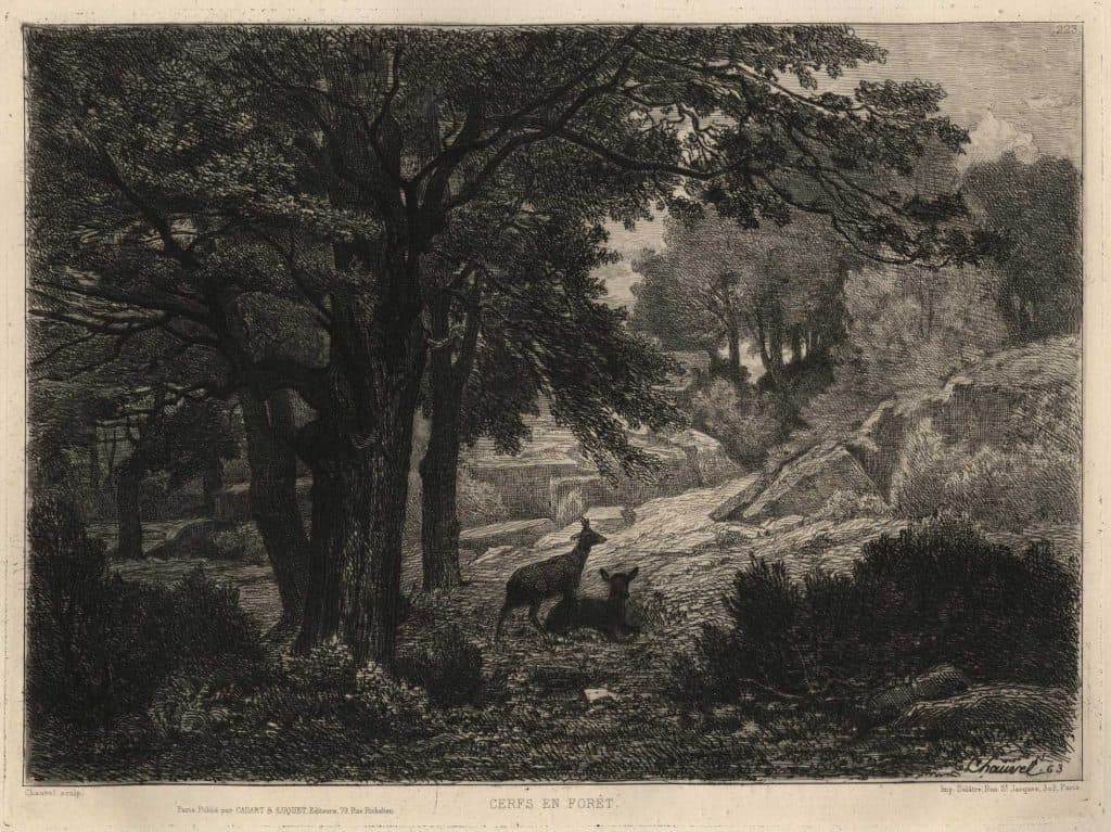 Chauvel – Cerfs en forêt