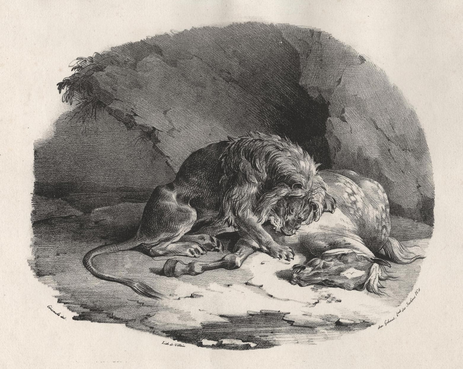 Cheval dévoré par un lion