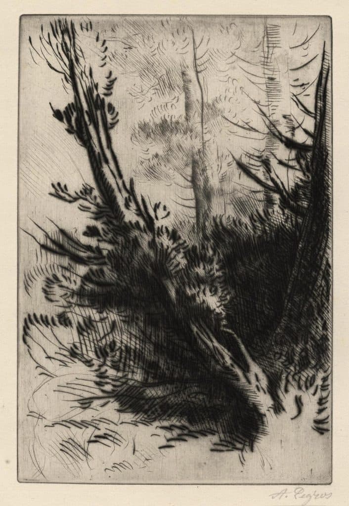 Legros – Dans les bois