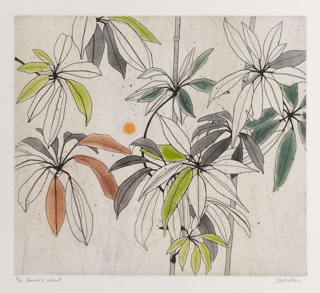 Walker (Anne) – Jennie’s Plant