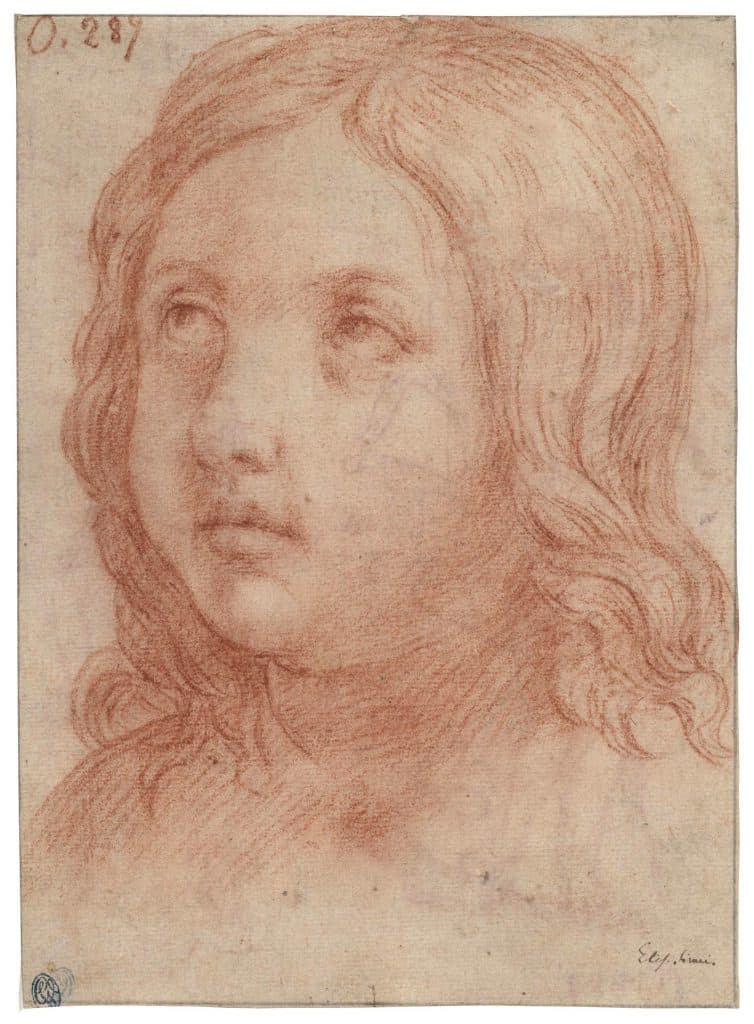 Sirani – Tête de jeune garçon