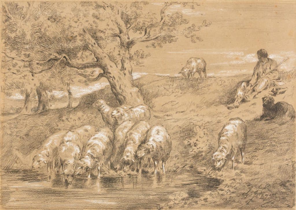 Jacque – Troupeau de brebis à l’abreuvoir gardé par un pâtre