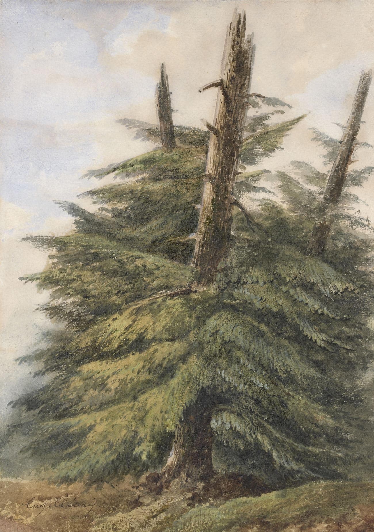 Study of Three Pines