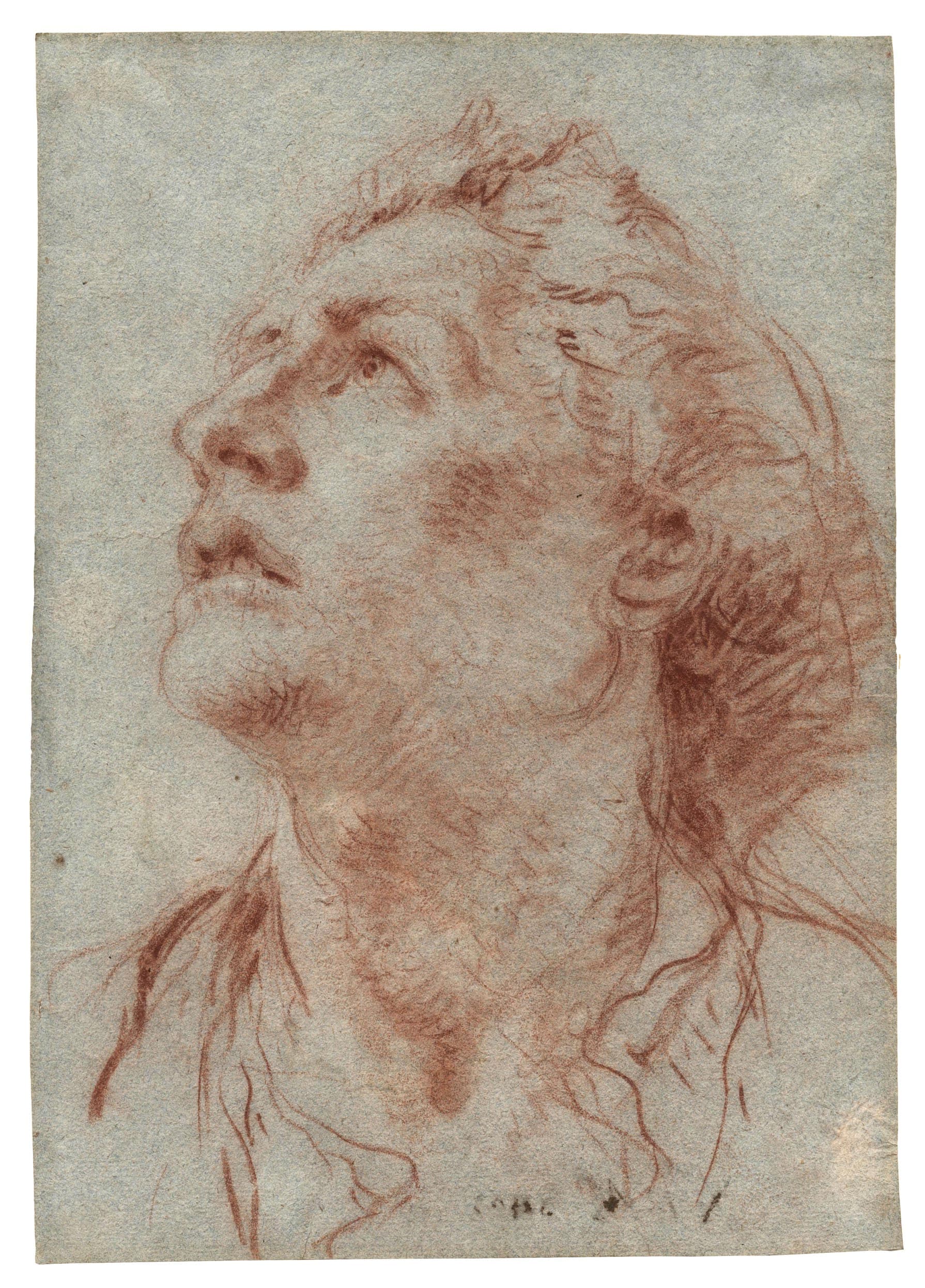 Tête d'homme de profil