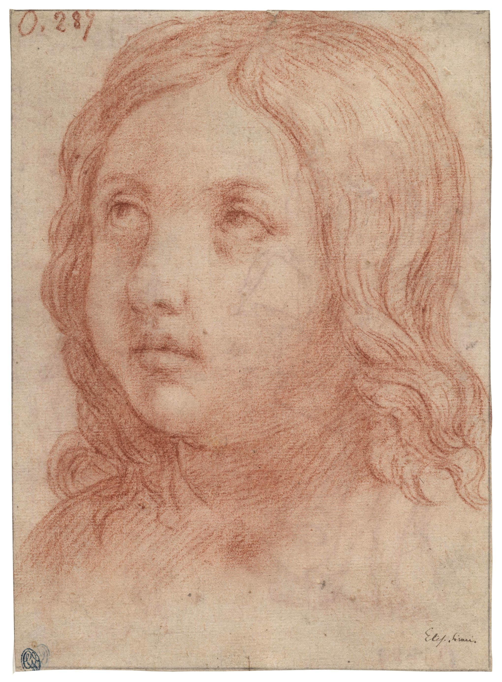 Tête de jeune garçon