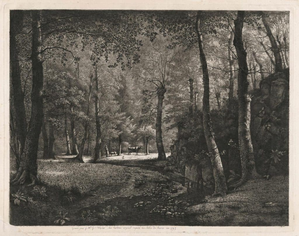 Grobon – Le Bois de Rochecardon