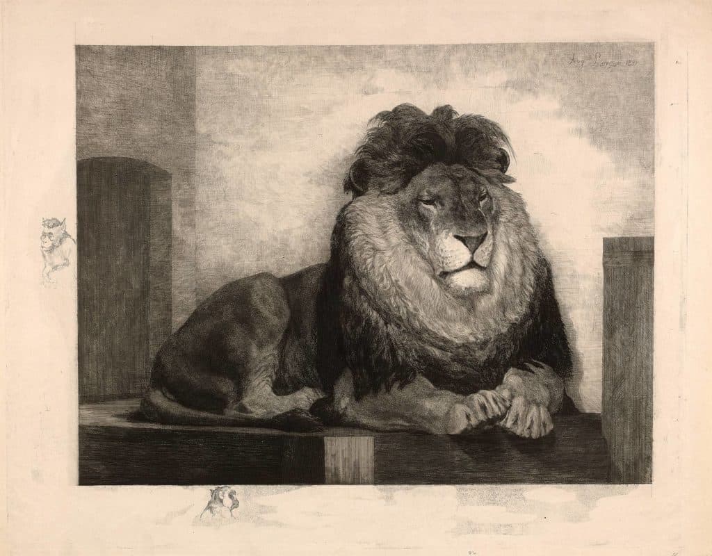Lançon – Lion au repos