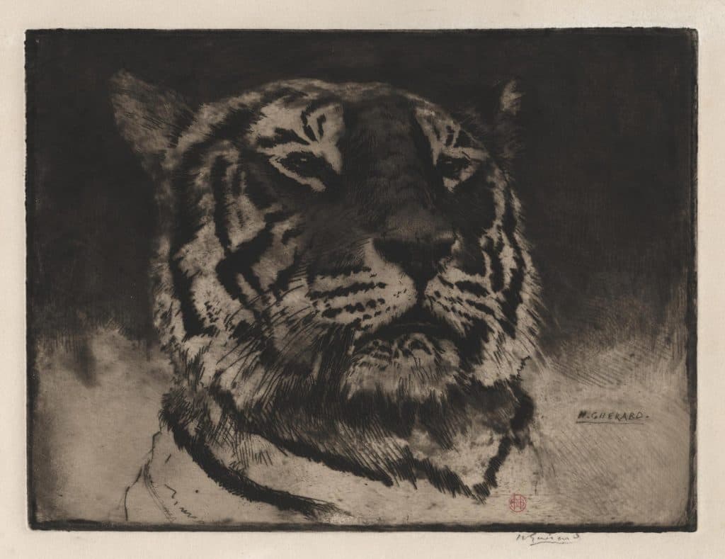 Guérard (Henri) – Tête de Tigre