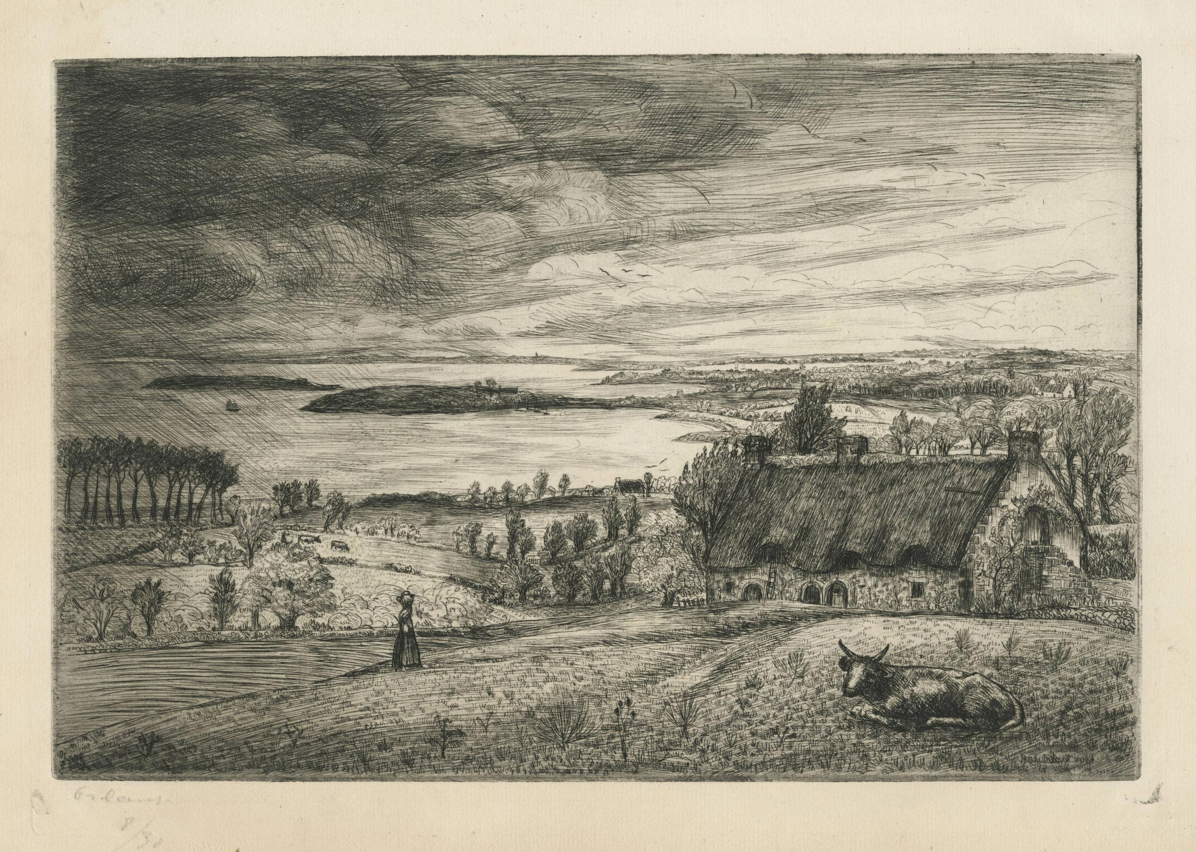 Landscape of l'Ile-aux-Moines