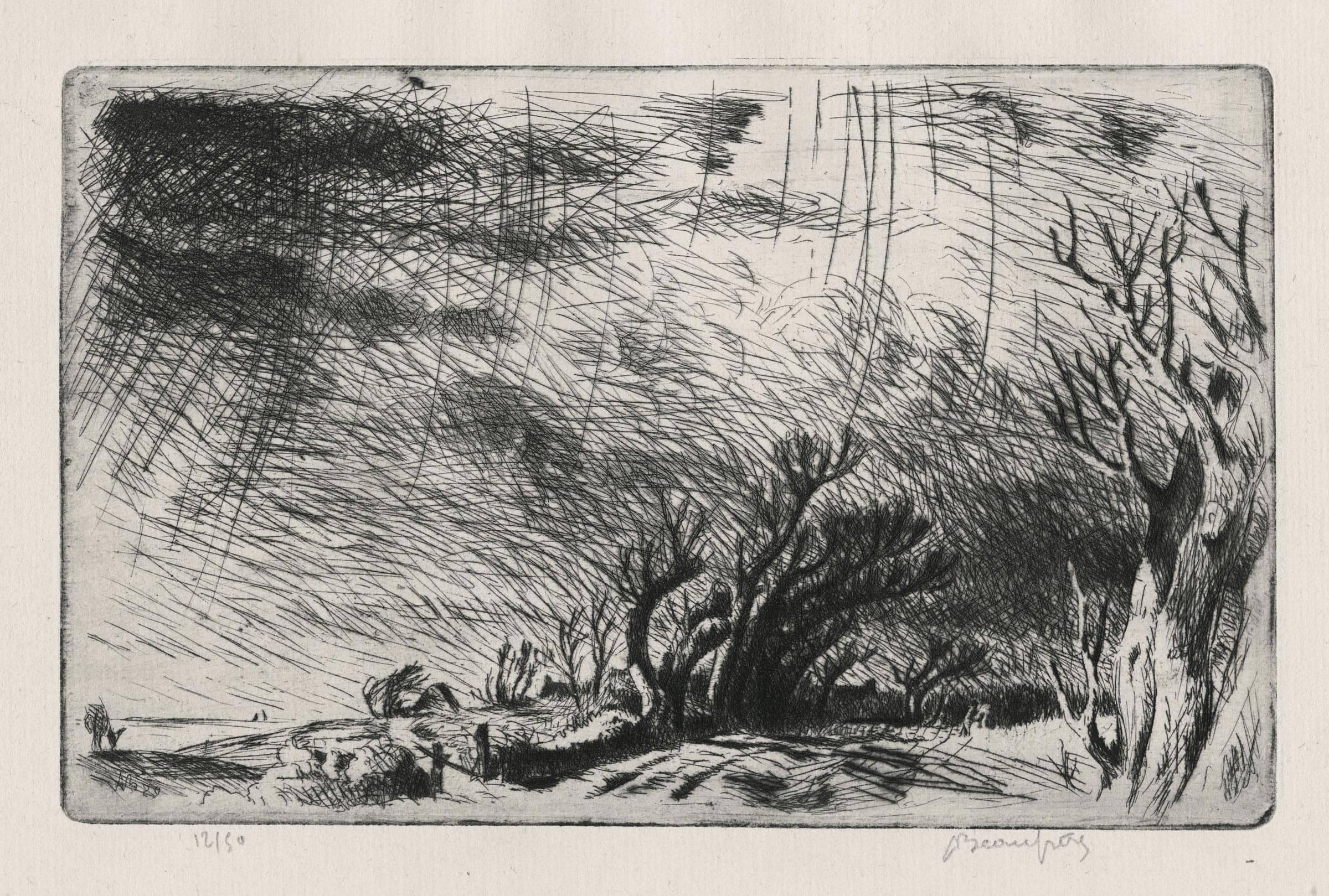 Groupe d’arbres sous l’orage