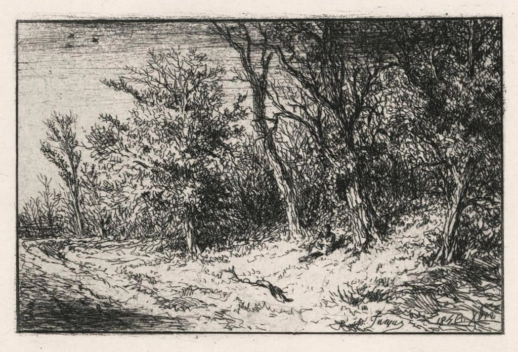 Jacque – Lisière de bois
