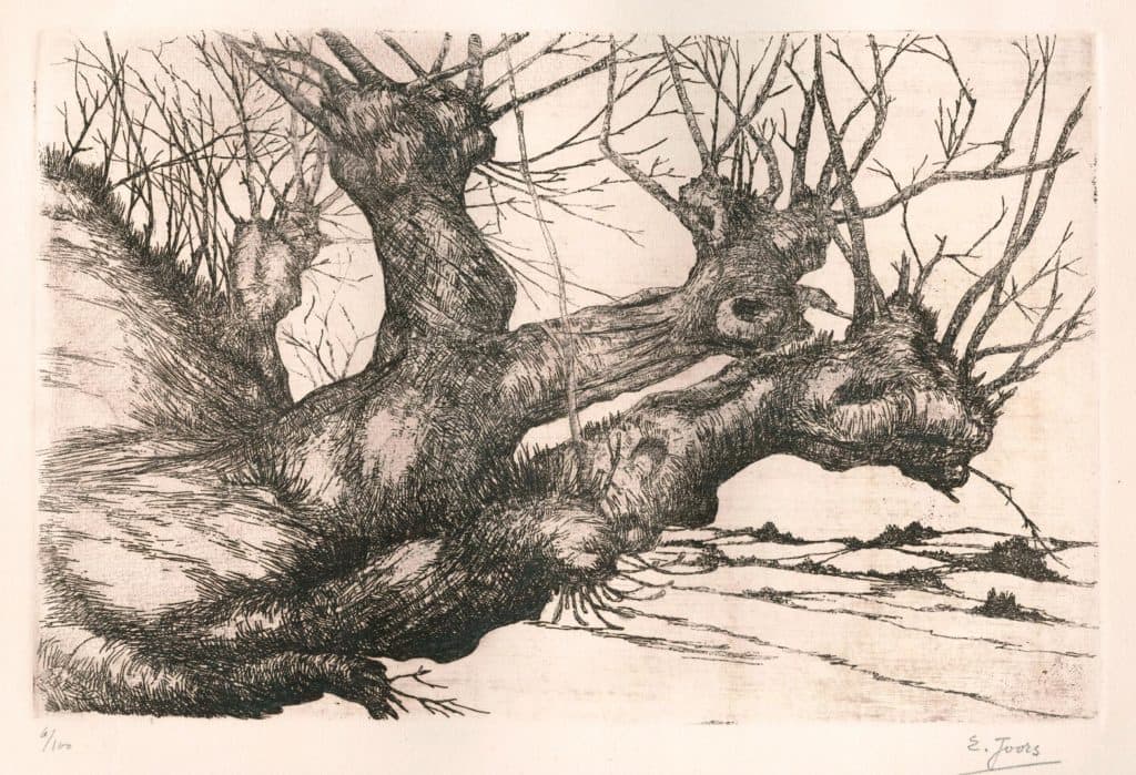 Joors – Paysage d’hiver aux troncs décharnés