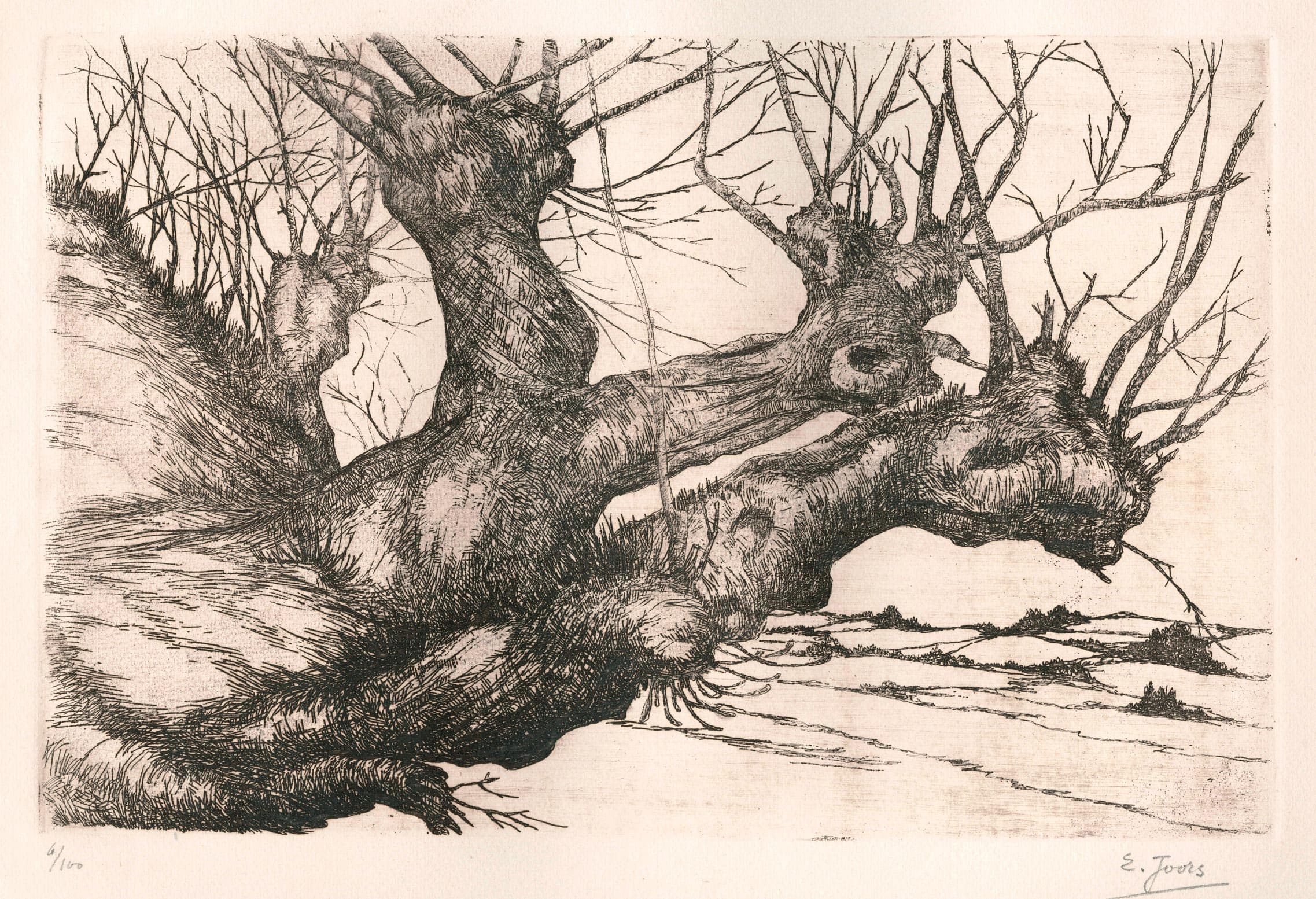 Wintery Landscape with Scrawny Tree Trunks