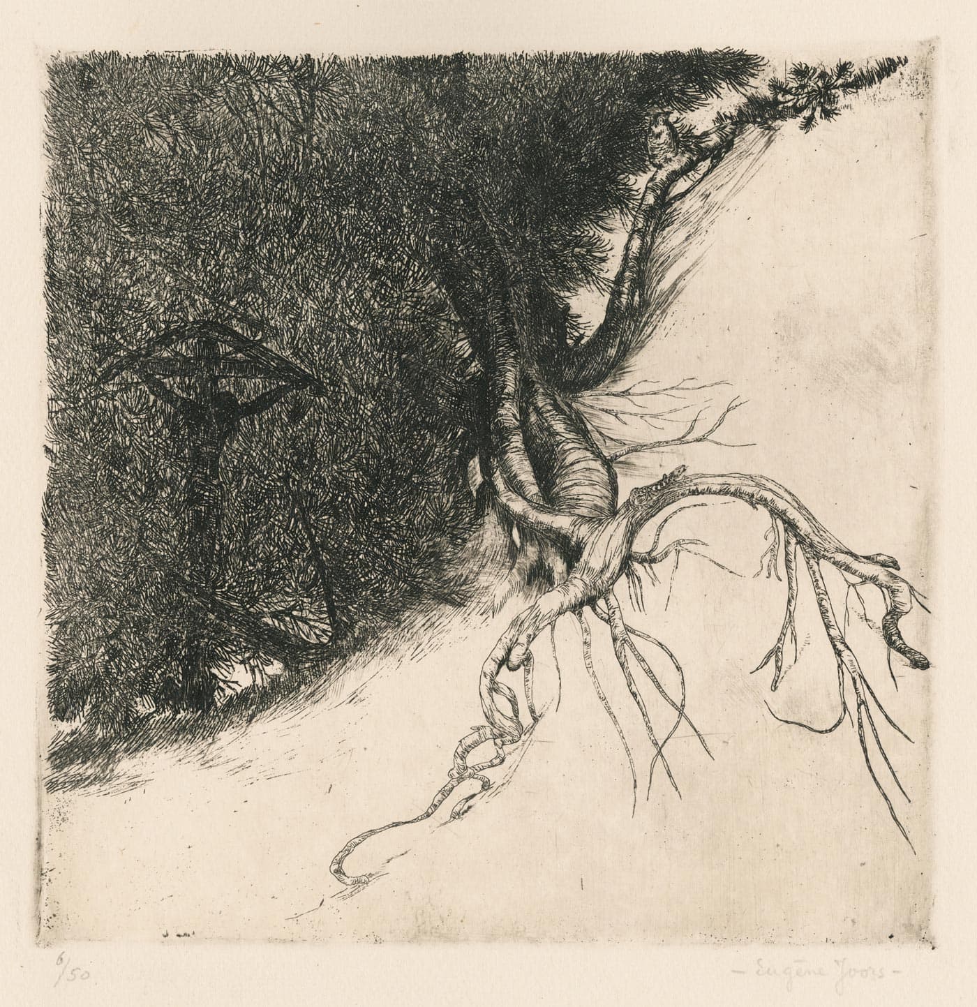 Christ on the cross hidden by the leaves and roots