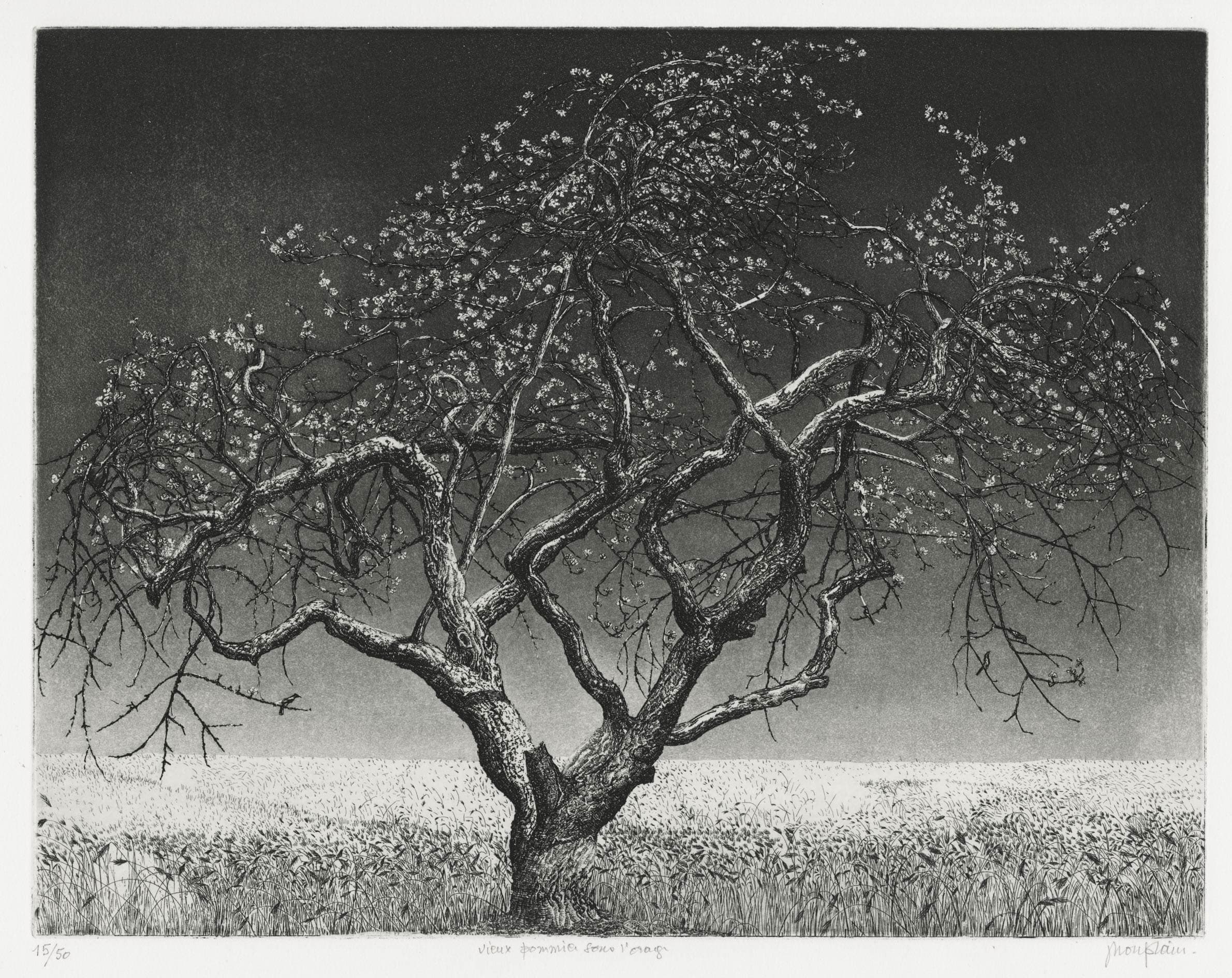 HOUPLAIN Jacques André — Old Apple Tree under the Storm