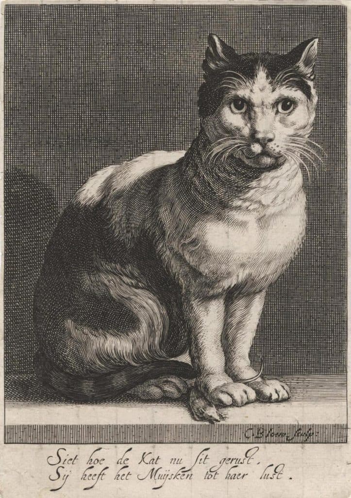 Bloemaert (Cornelis) – Un chat et une souris