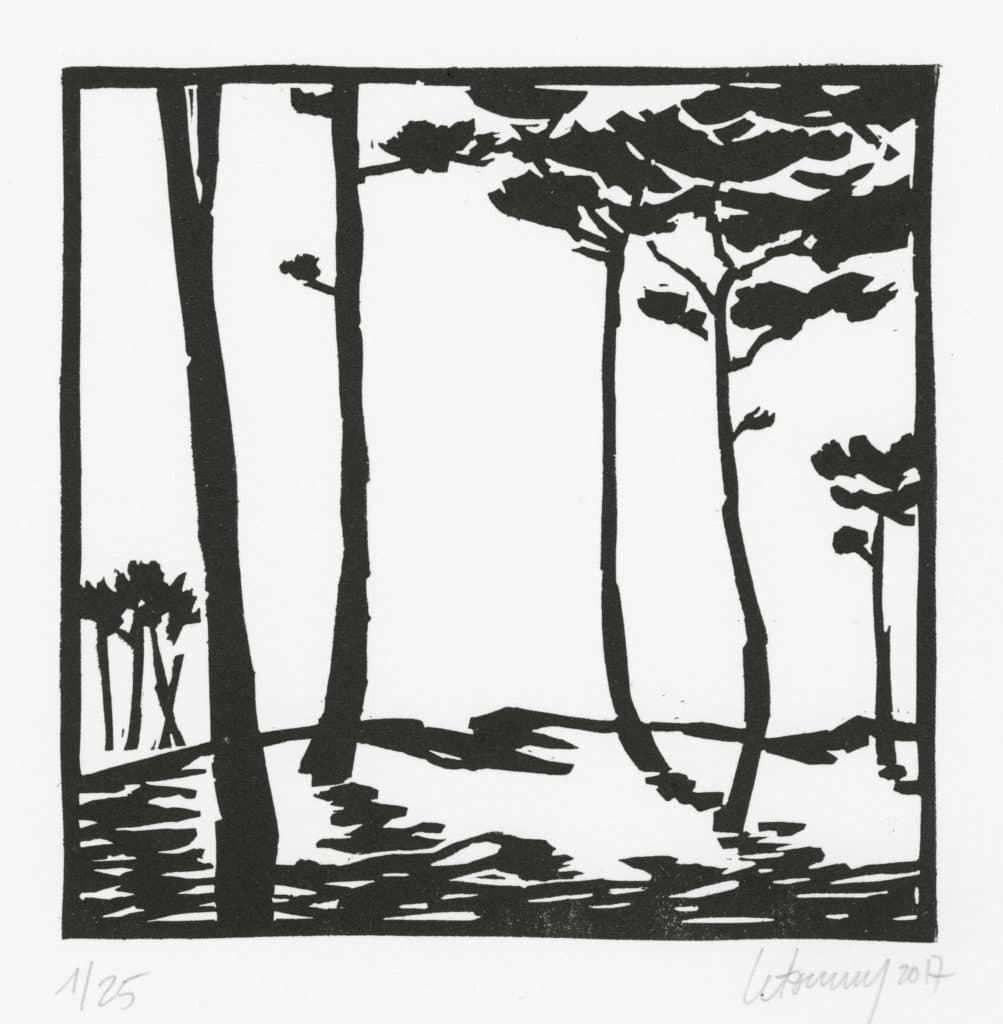 Letourmy – Pinède