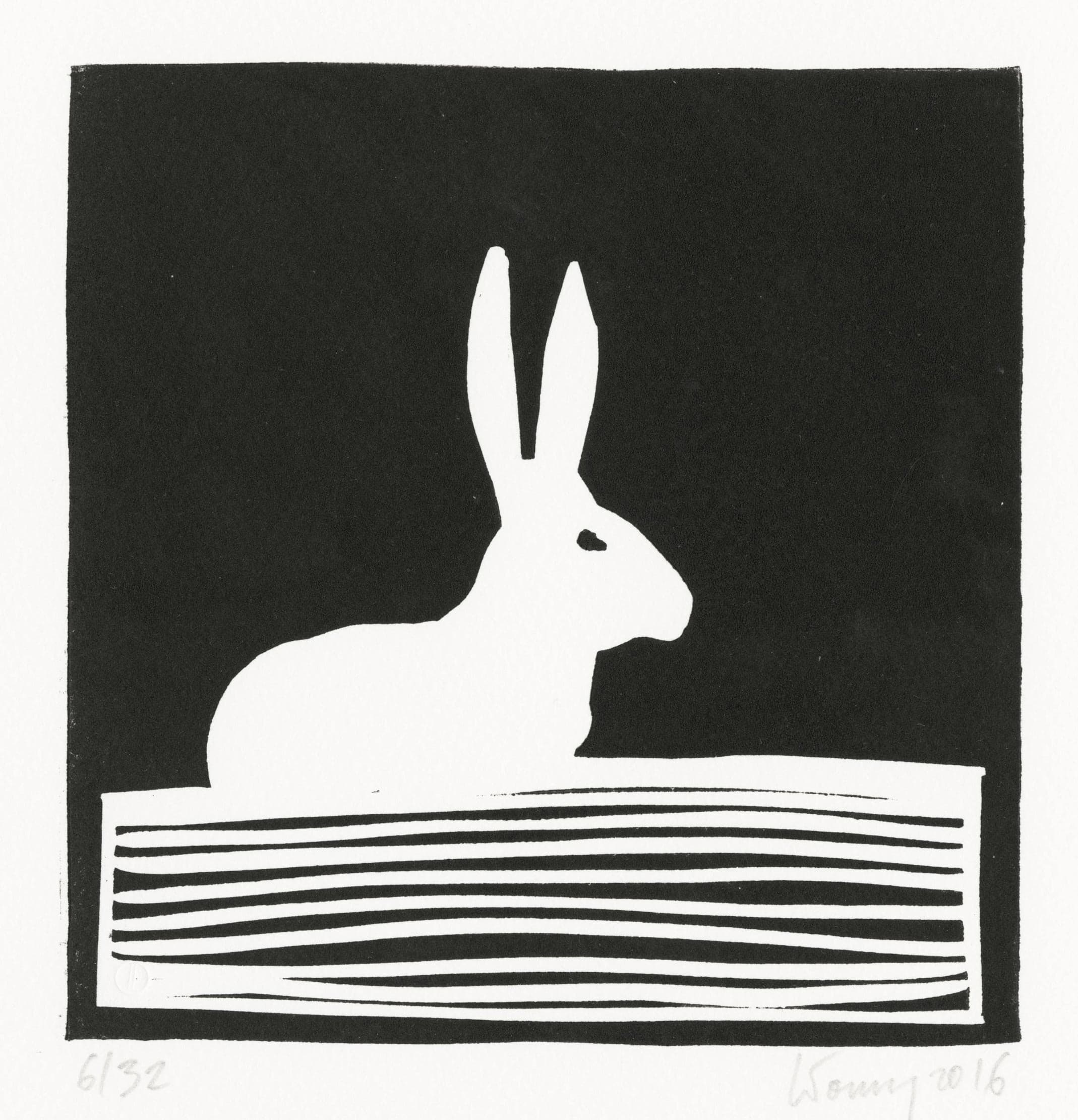 Lapin des neiges (snow rabbit)