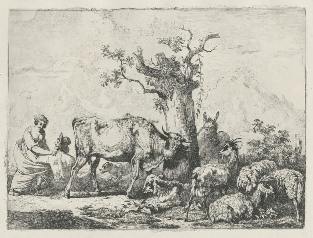 Demarne – Le pot au lait renversé