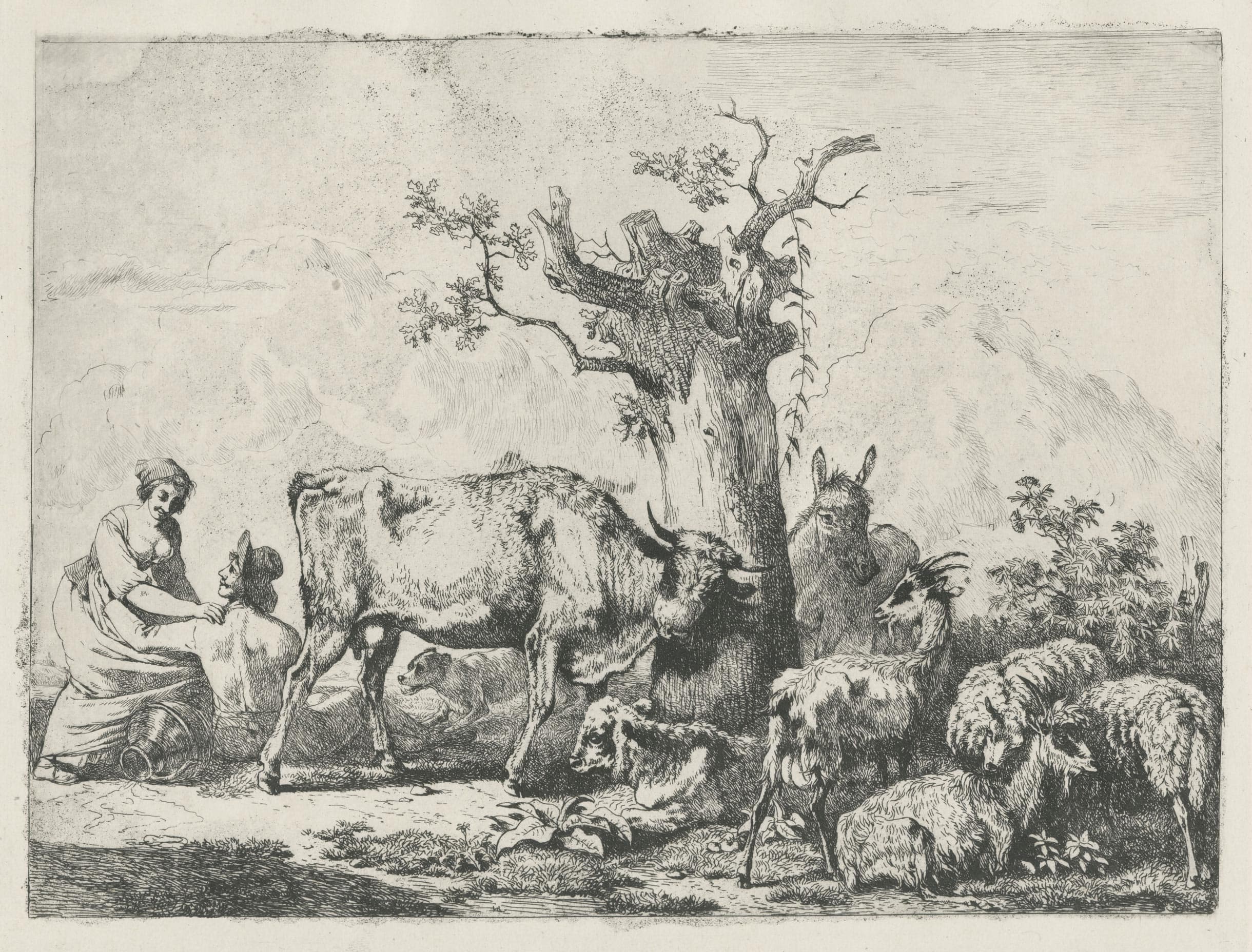 Le pot au lait renversé