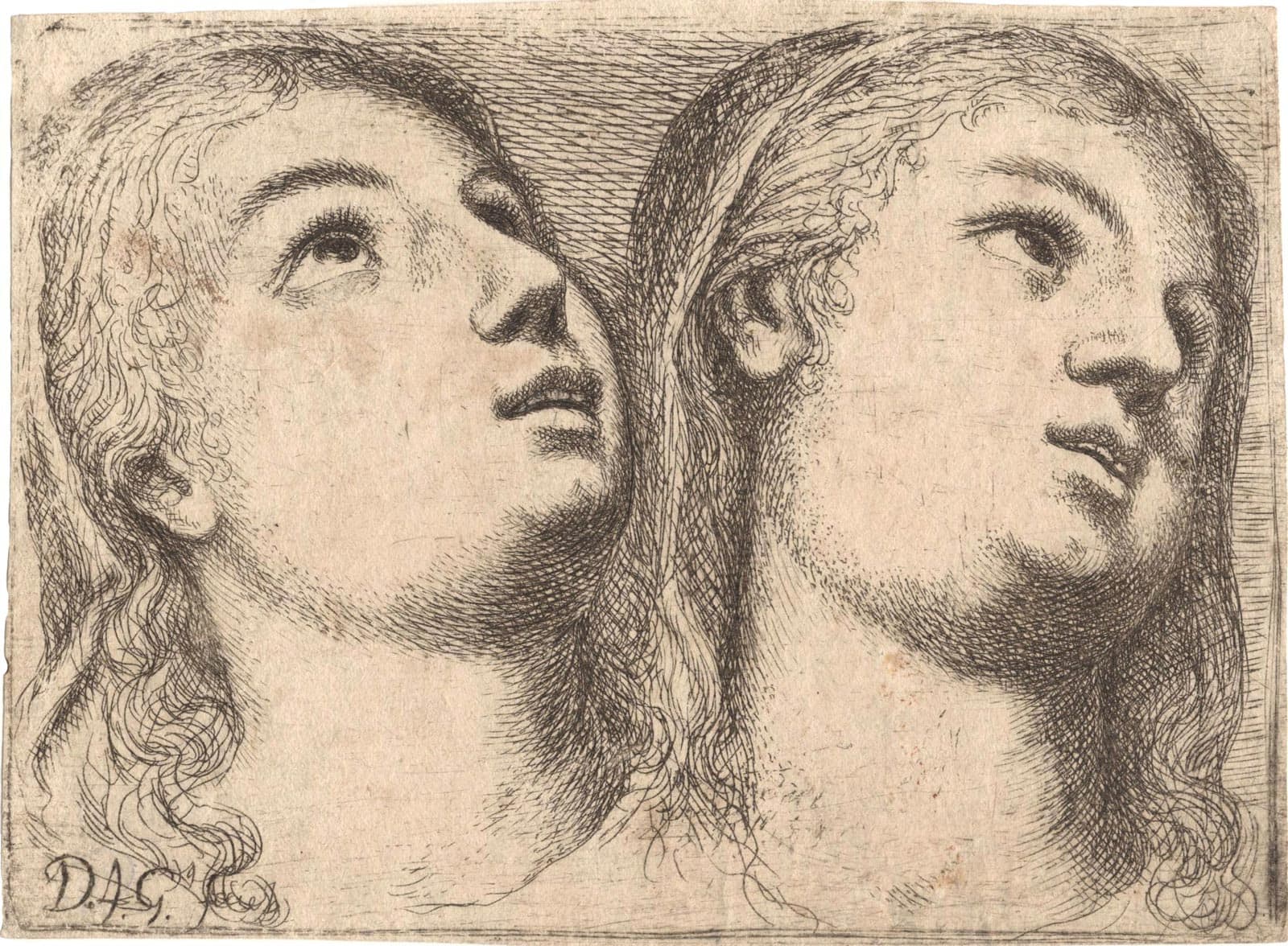 Two Studies of a Head of a Young Woman