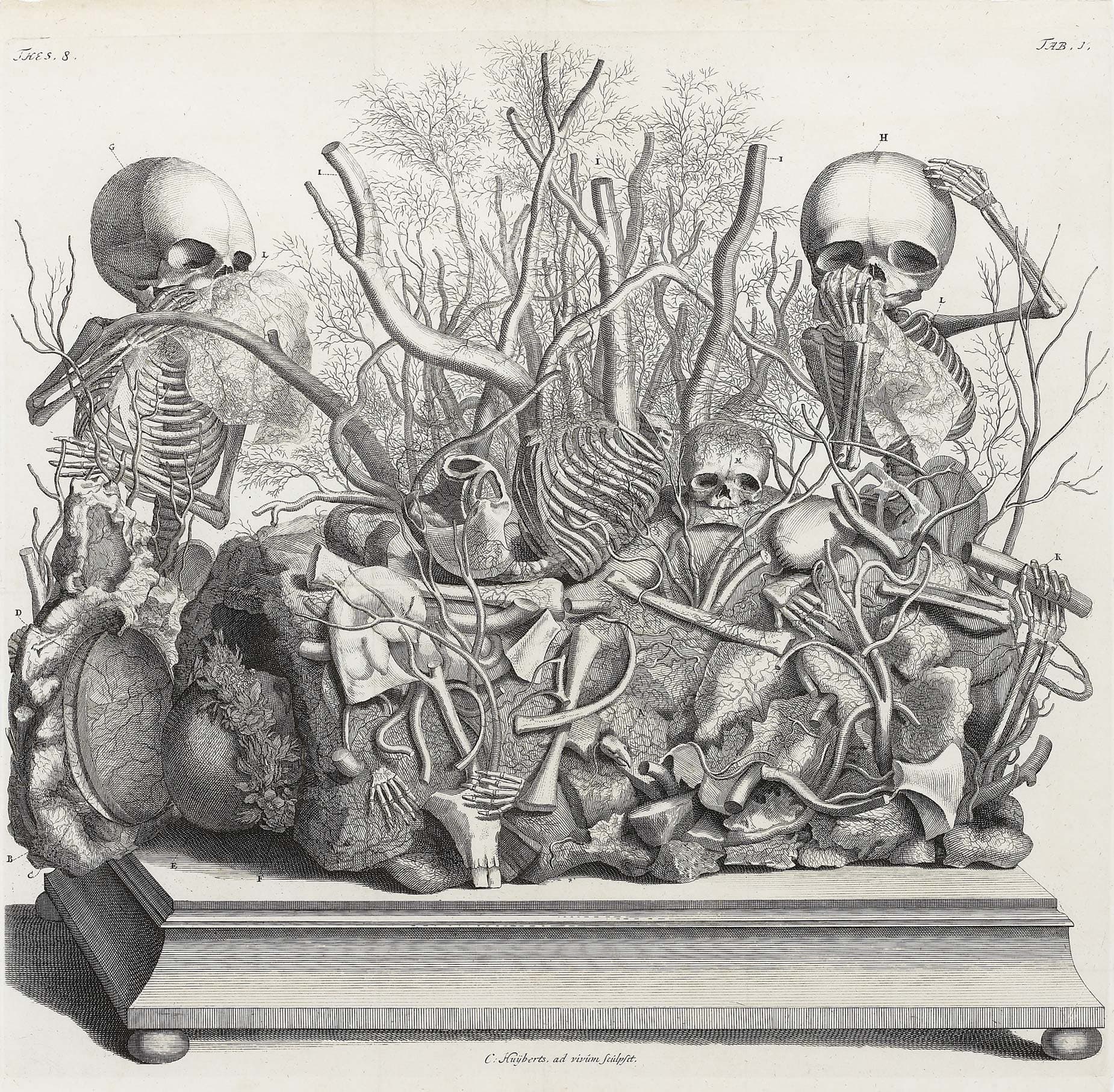 Groupe de squelettes