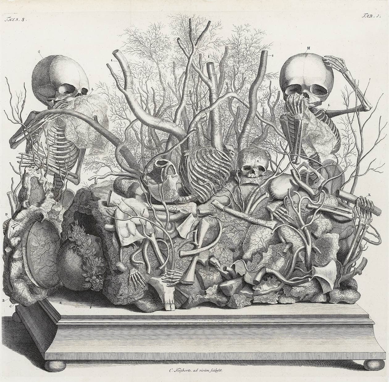 Groupe de squelettes