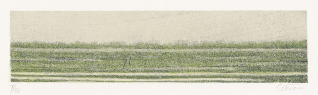 Ostovani – Horizon-pays