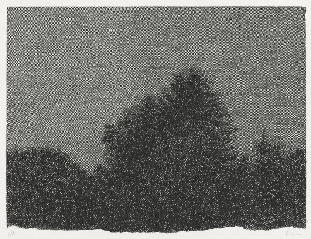 Poignon – Arbres-Nuit