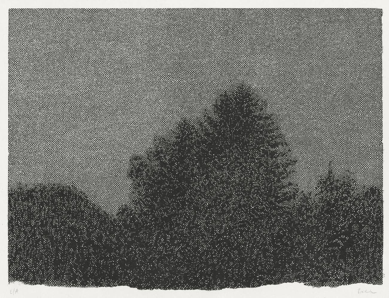 Arbres-Nuit (Trees-Night)