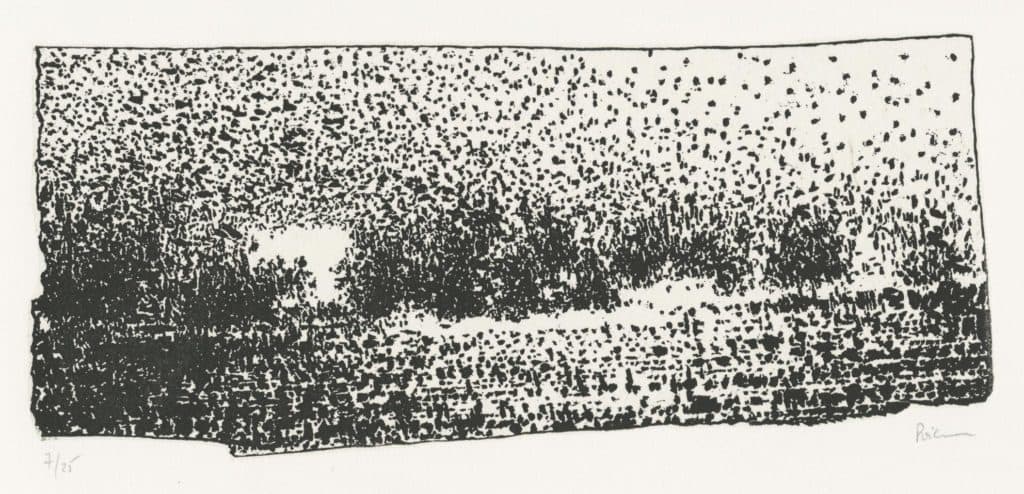 Poignon – Fourmillement