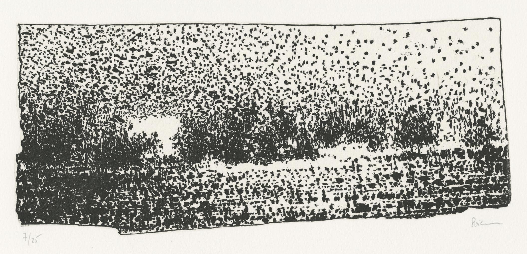 Fourmillement (Swarm)