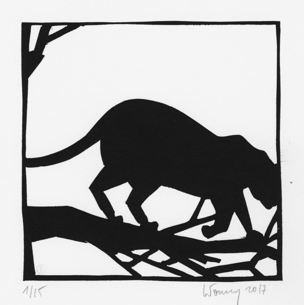 Letourmy – Panthère