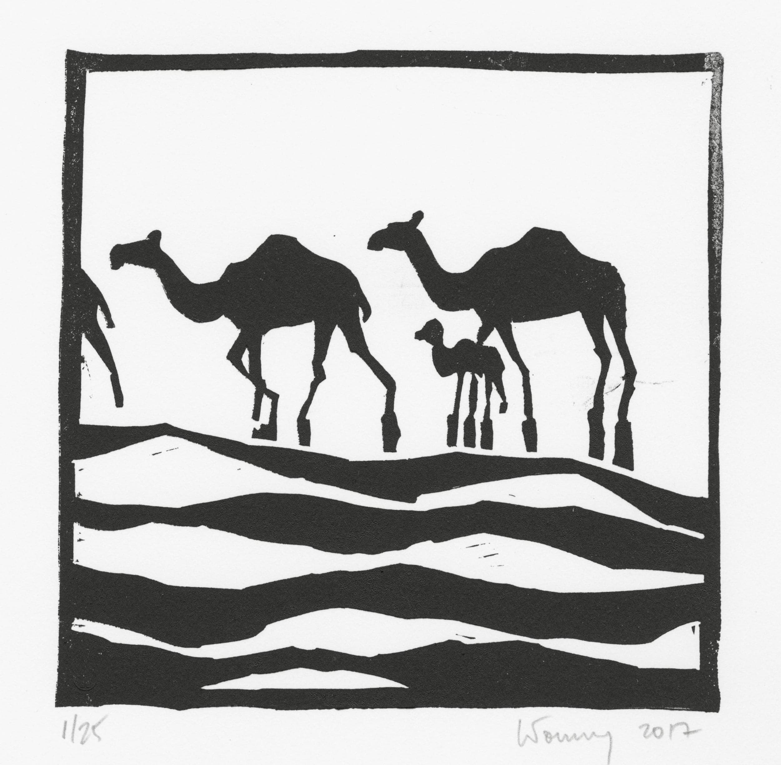 Dromadaires (camels)