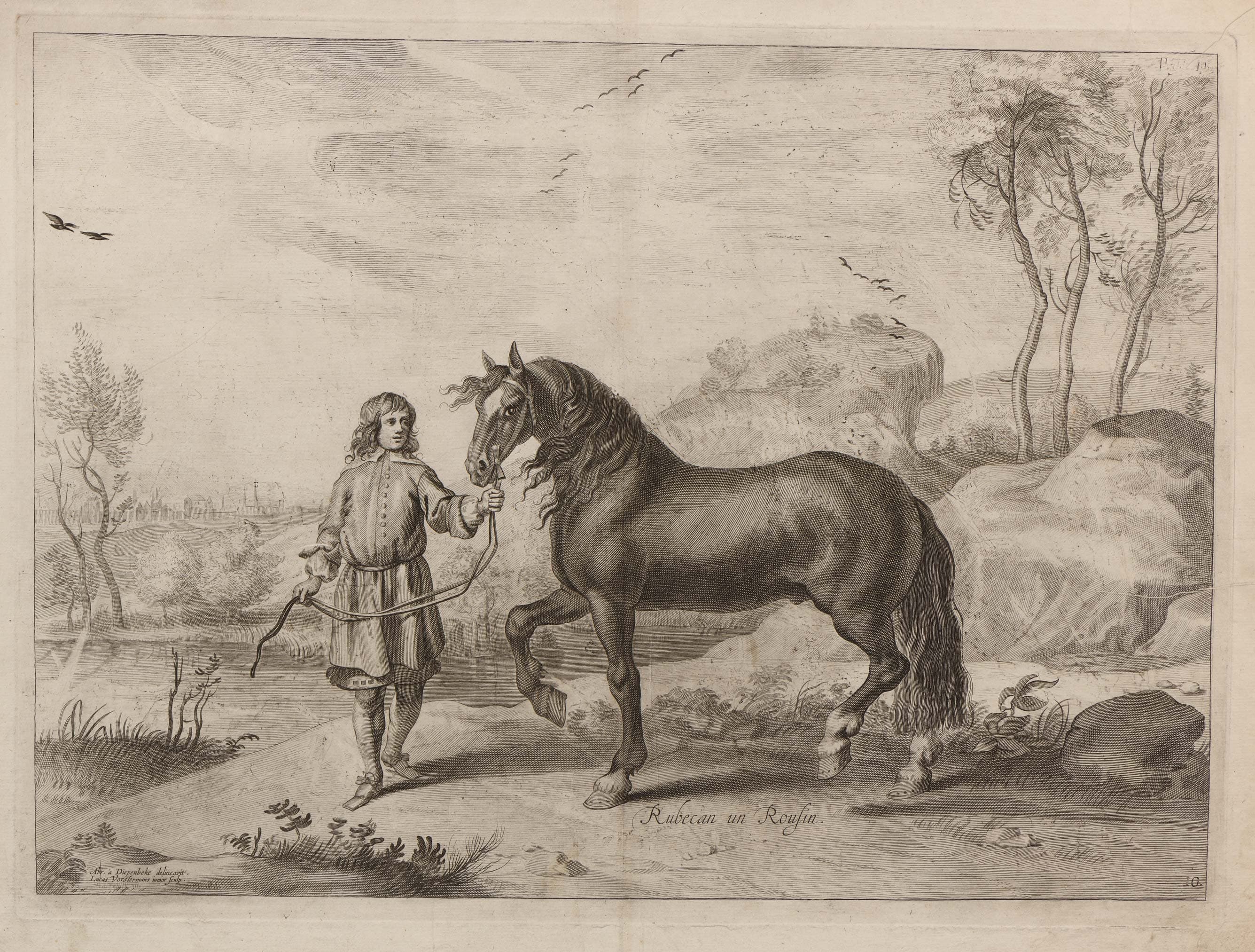 Horse held by reins by a valet