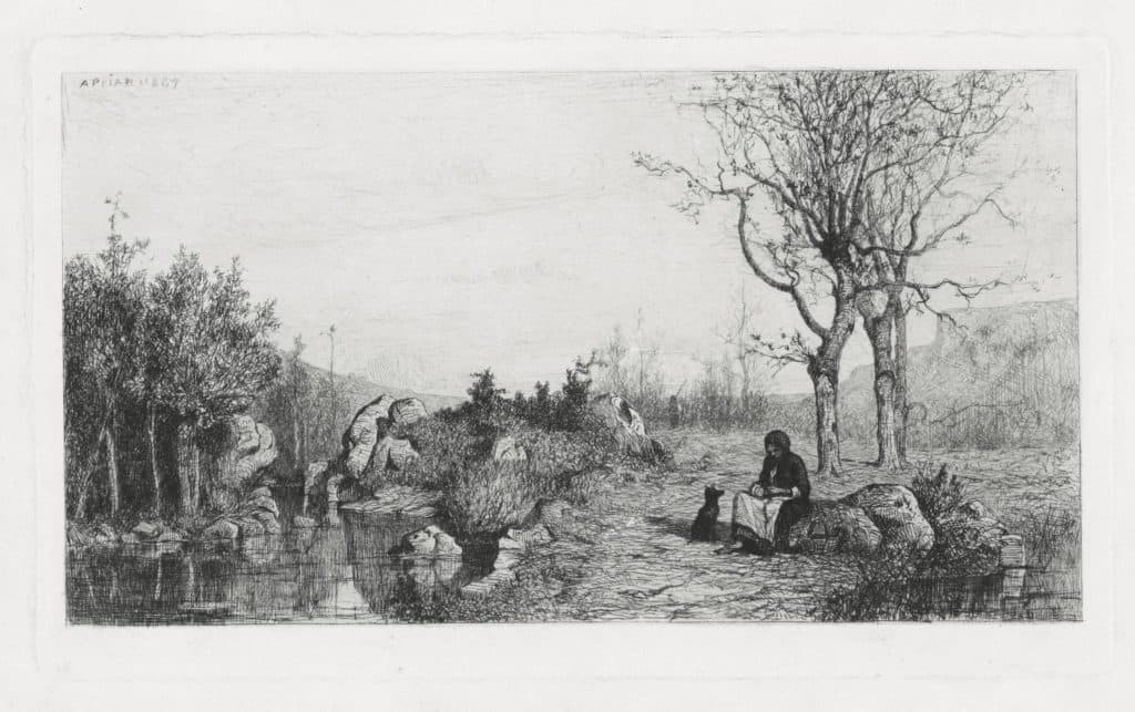 Appian – Bords du ruisseau à Rossilon (Ain)