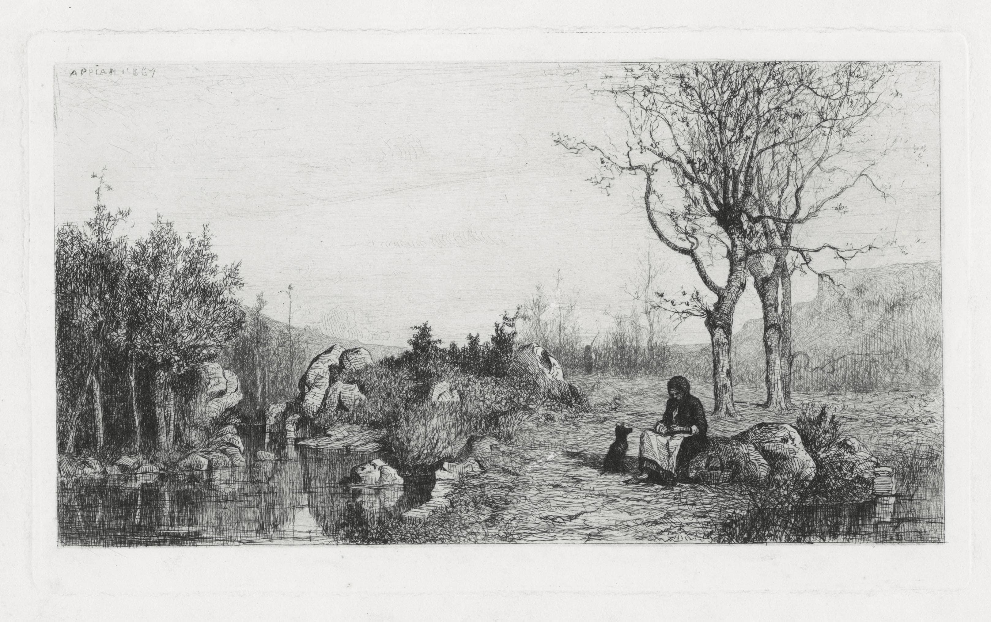 Bords du ruisseau à Rossilon (Ain)