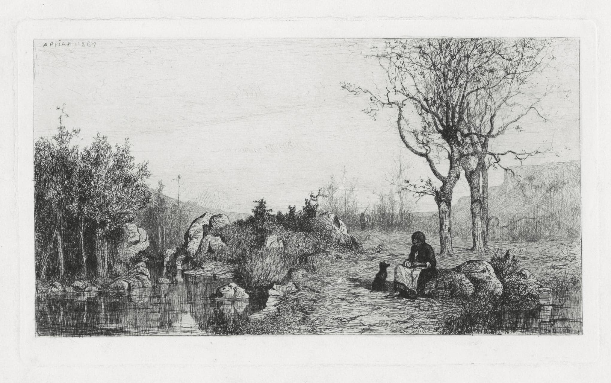 Stream sides at Rossilon (Ain)