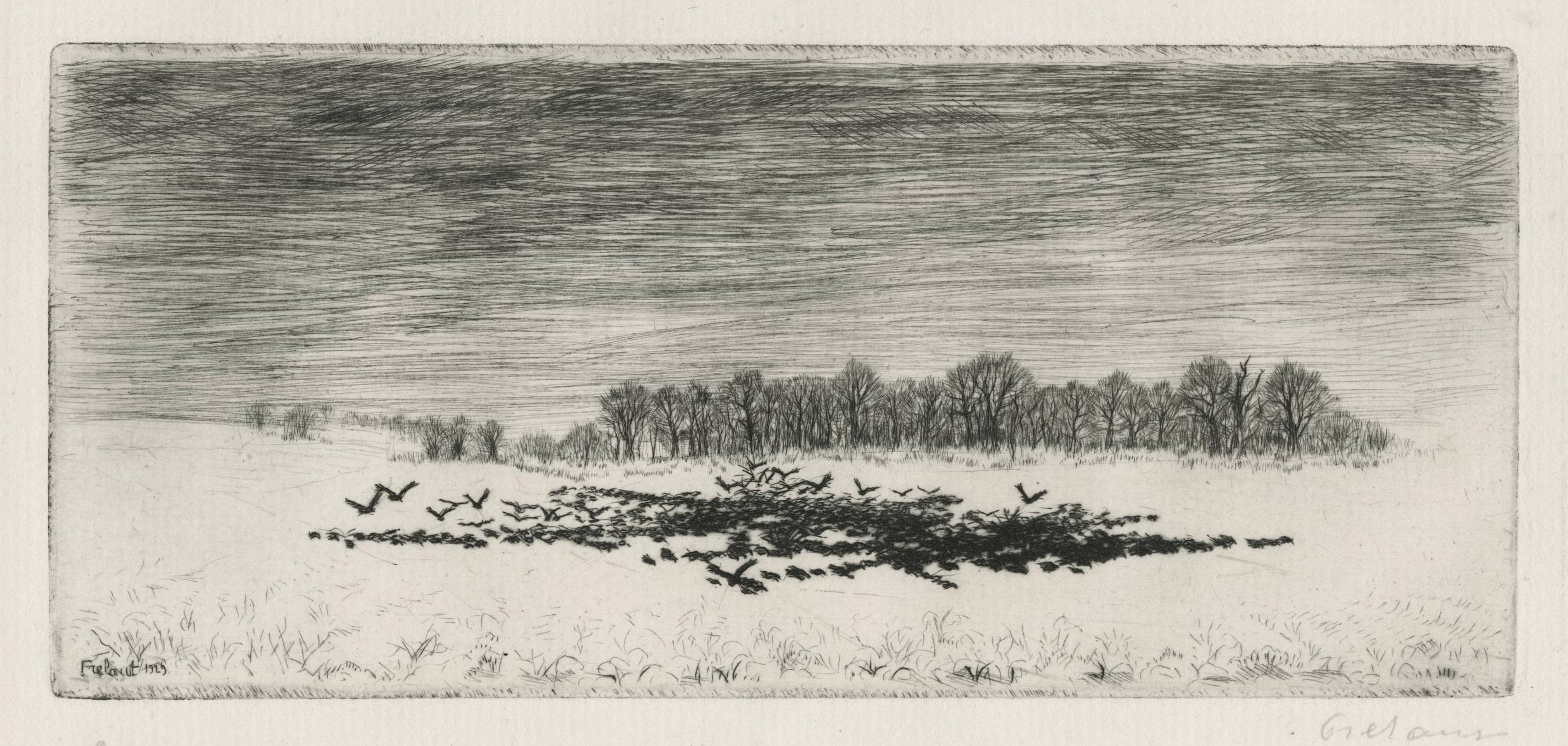 Corbeaux sur la neige