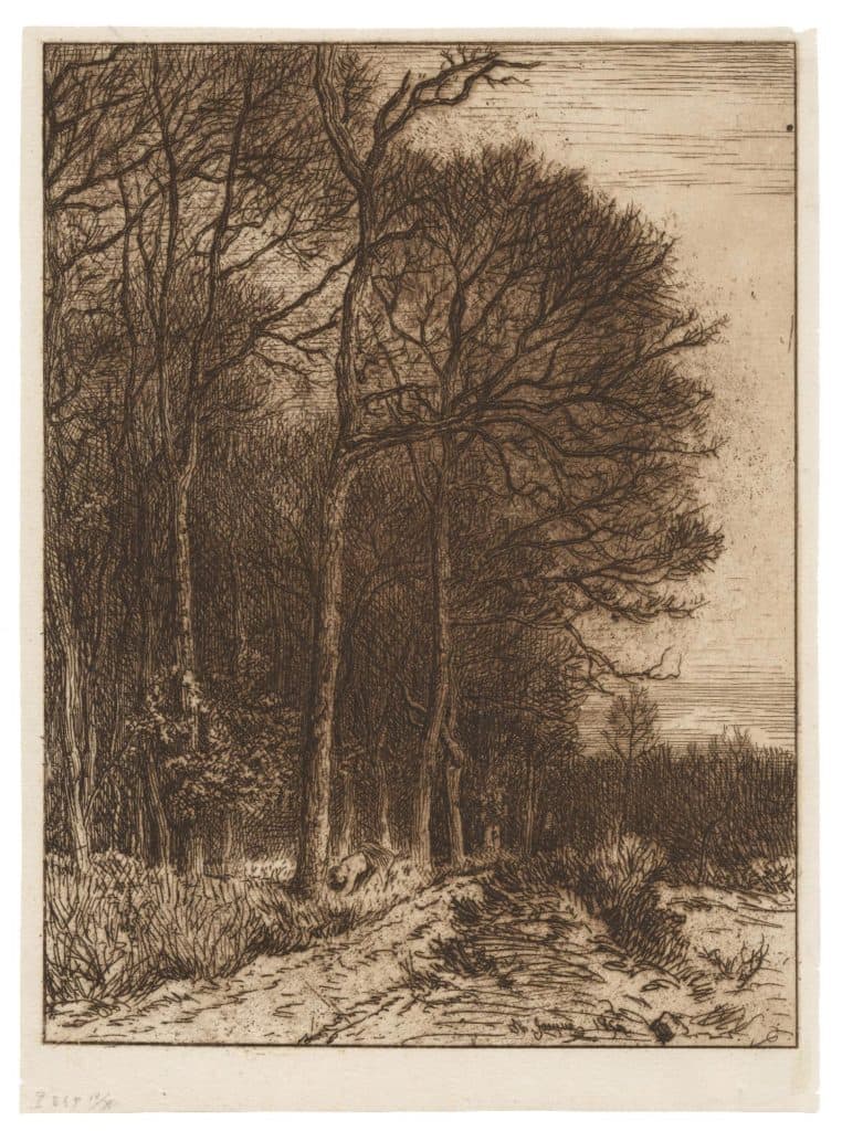 Jacque – Lisière du bois, bornage de Barbizon