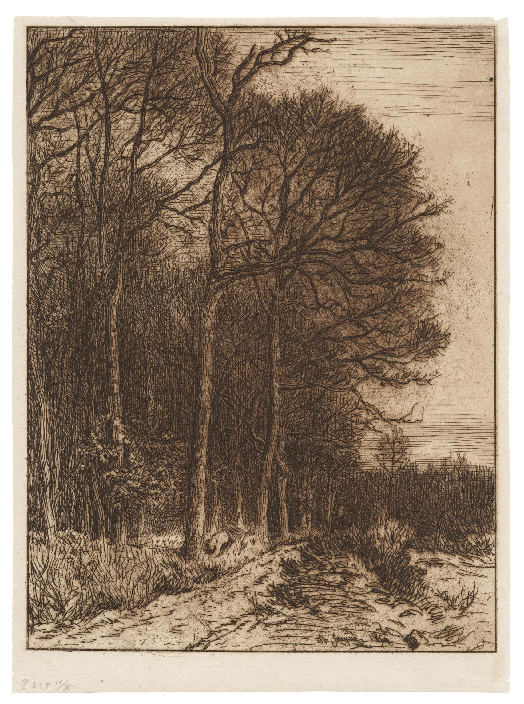 Lisière du bois, bornage de Barbizon