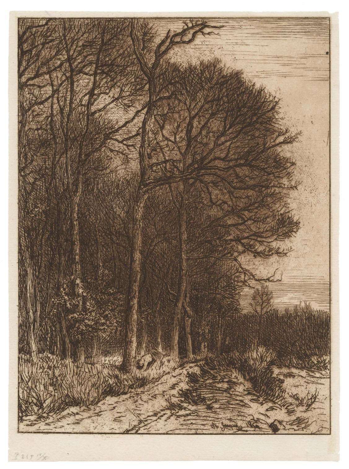 Edge of wood in Barbizon