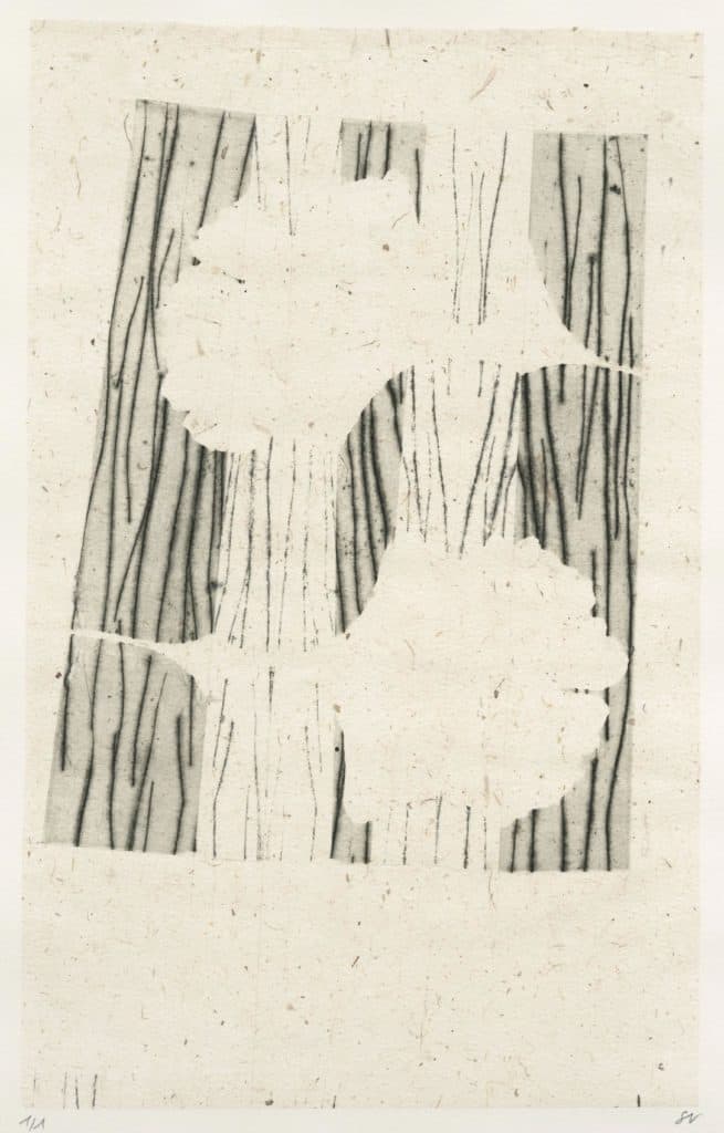 Turpin – Pliage et empreintes de feuilles de ginkgo biloba en noir et gris