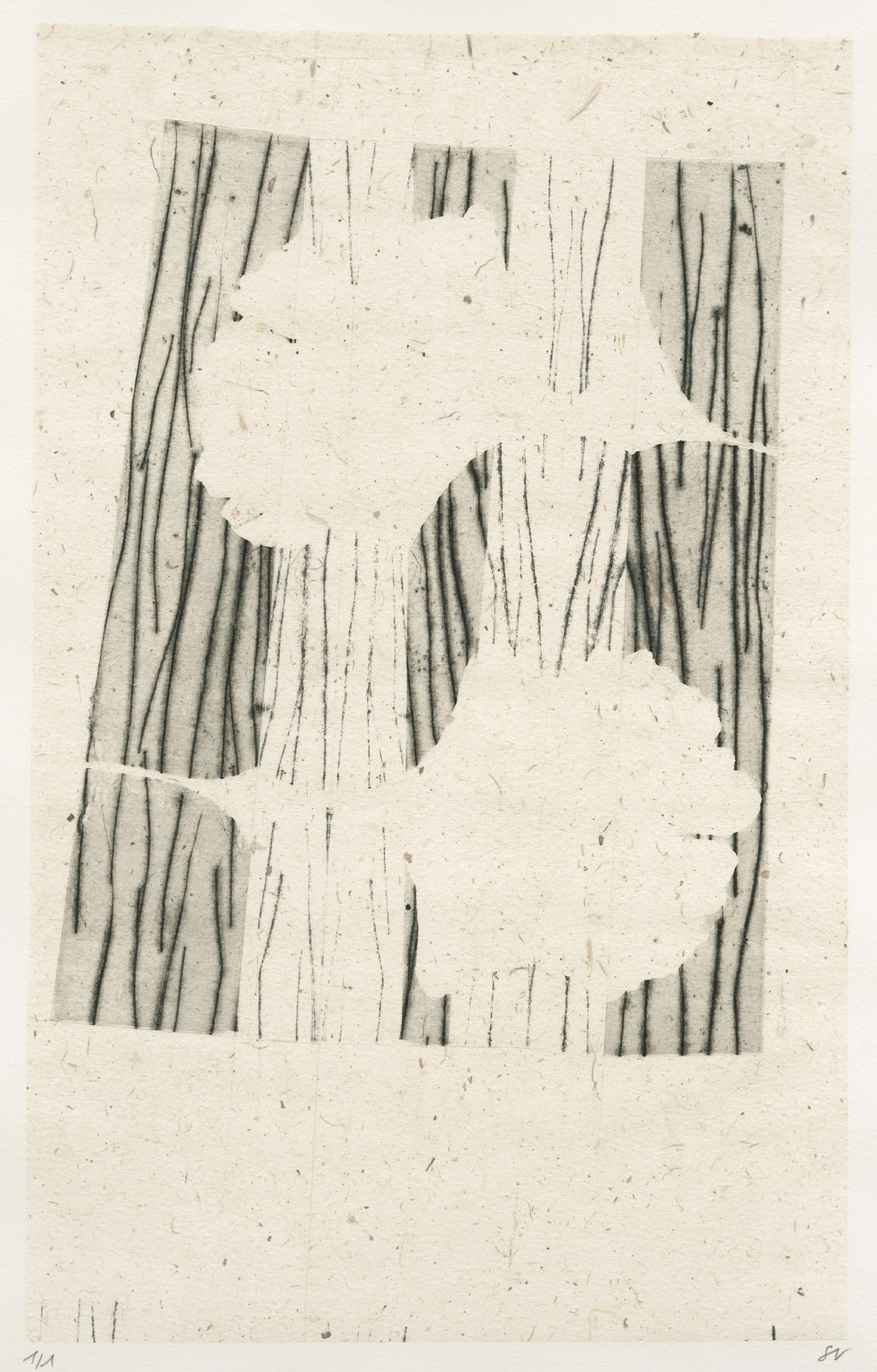 Pliage et empreintes de feuilles de ginkgo biloba en noir et gris