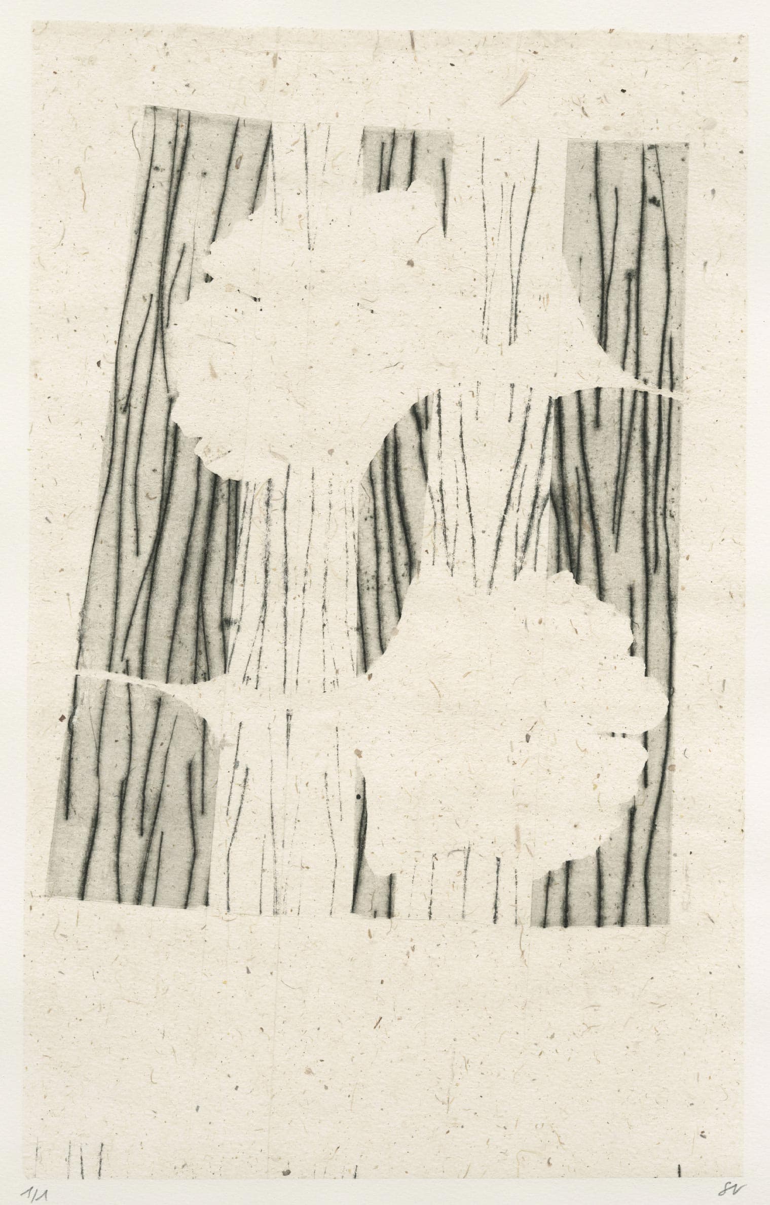 Pliage et empreintes de feuilles de ginkgo biloba en noir et gris