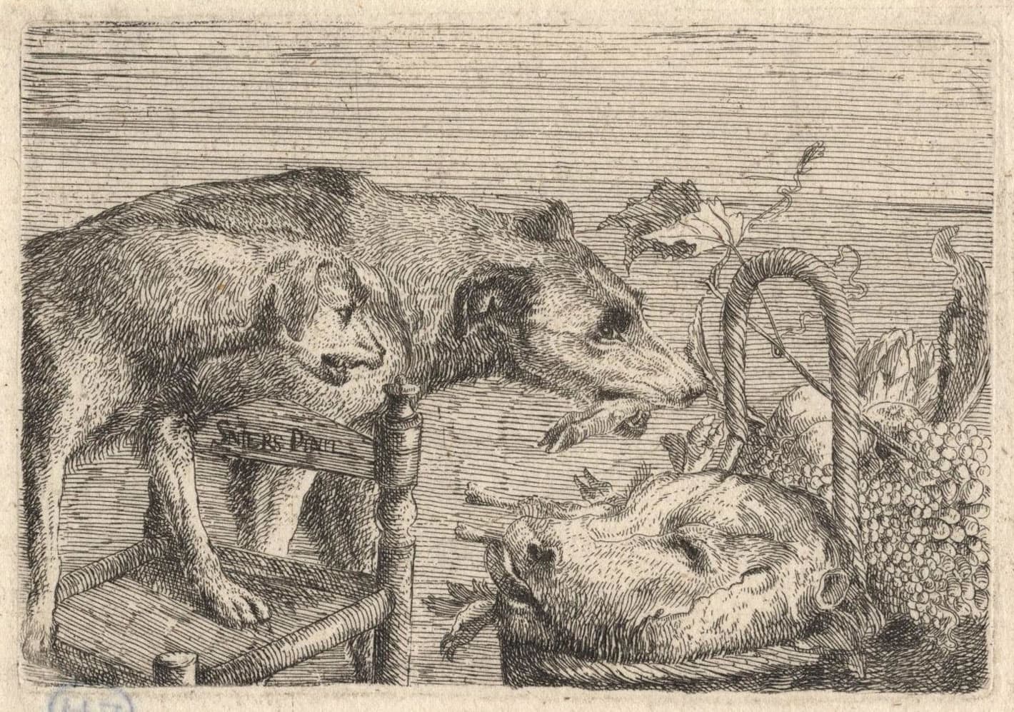 Two dogs, a Head of the Pig in a Basket with Fruit