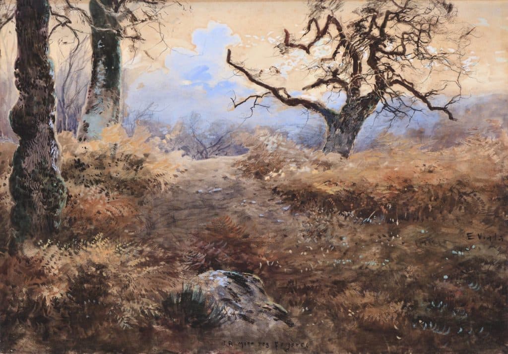 Viala – La mort des fougères