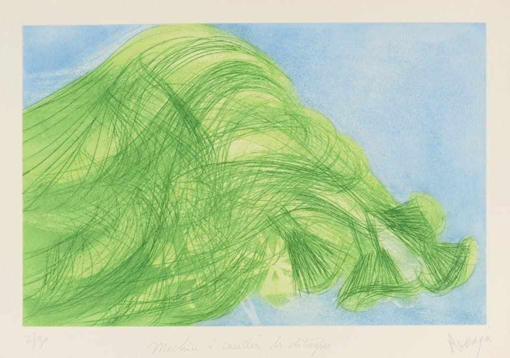 Messagier – Machine à cueillir des clytocybes