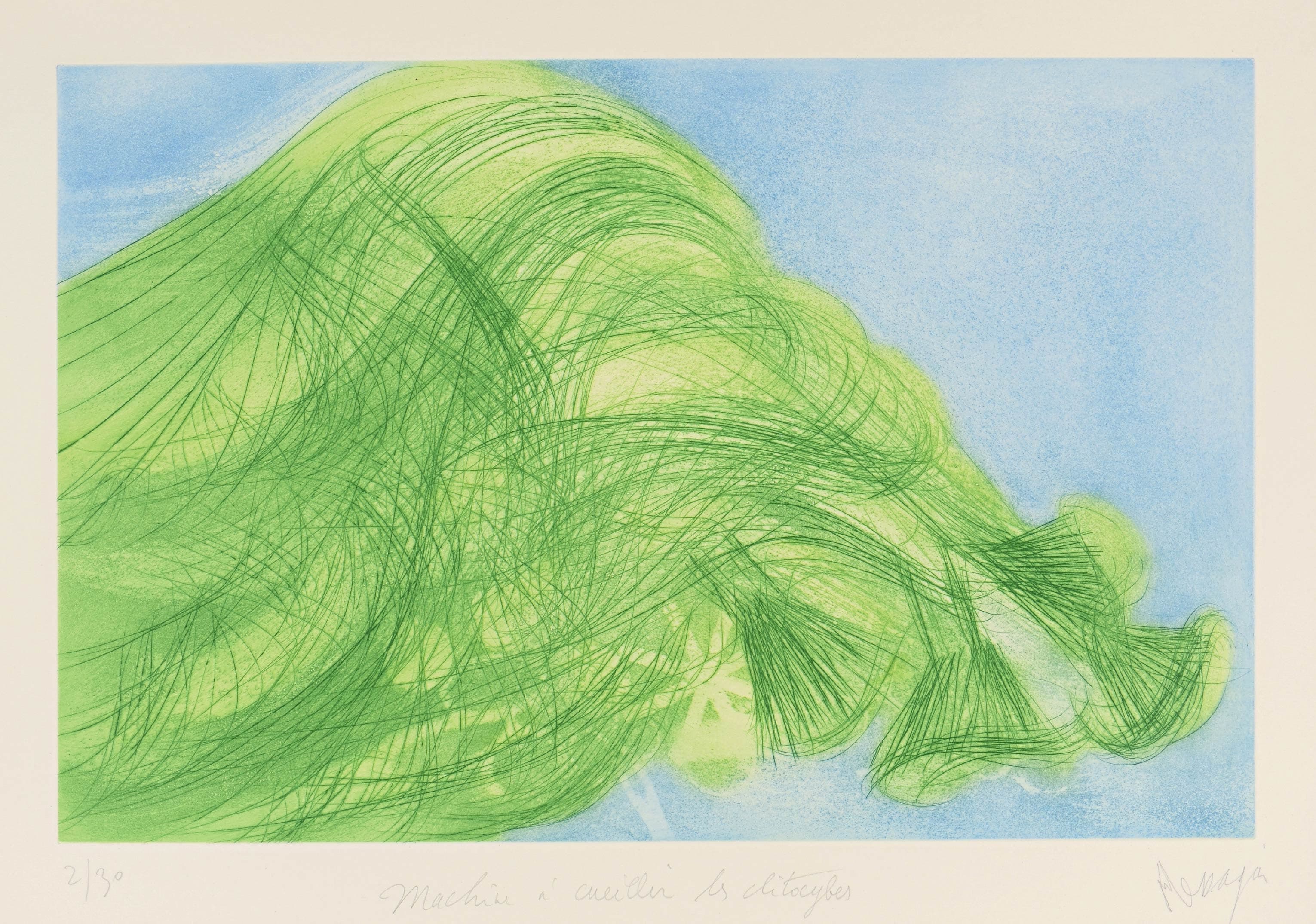 MESSAGIER Jean — Machine to pick clytocybes